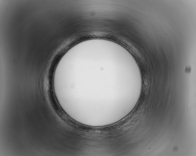 X0000102770734200808180954