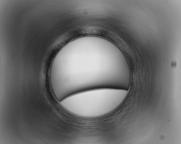 X0000102770735200808180954