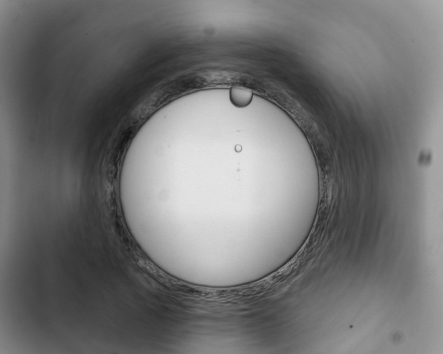 X0000102770737200808180954