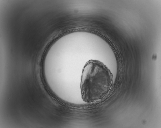 X0000102770738200808180954