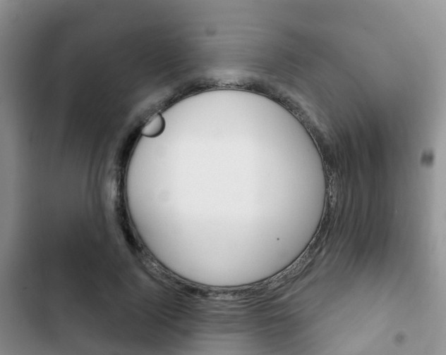 X0000102770740200808180954