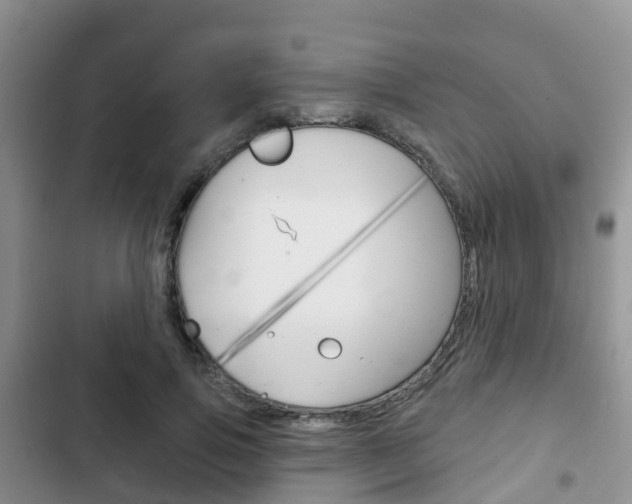 X0000102770741200808180954