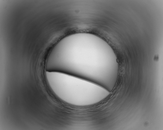 X0000102770742200808180954