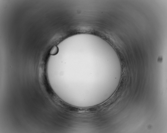 X0000102770744200808180955
