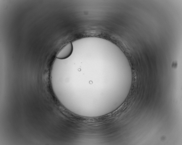 X0000102770745200808180955