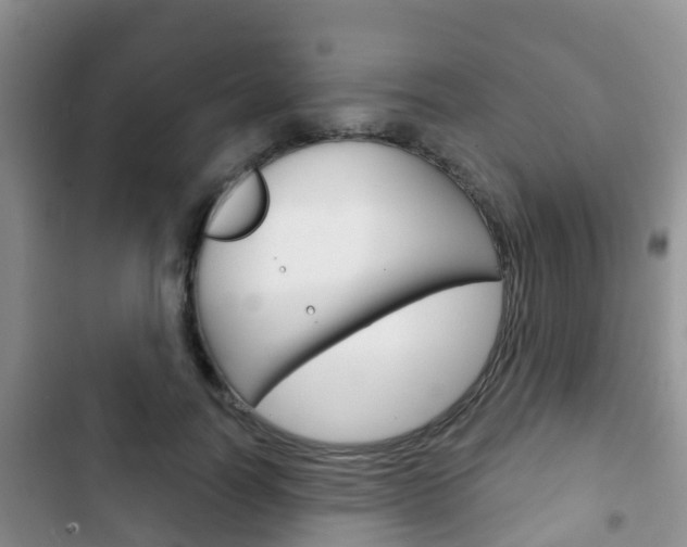 X0000102770746200808180955