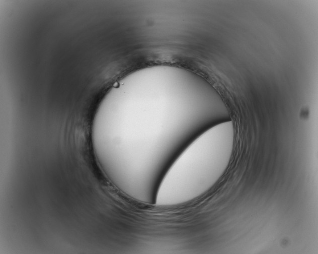 X0000102770747200808180955