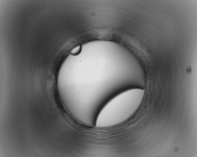 X0000102770748200808180955