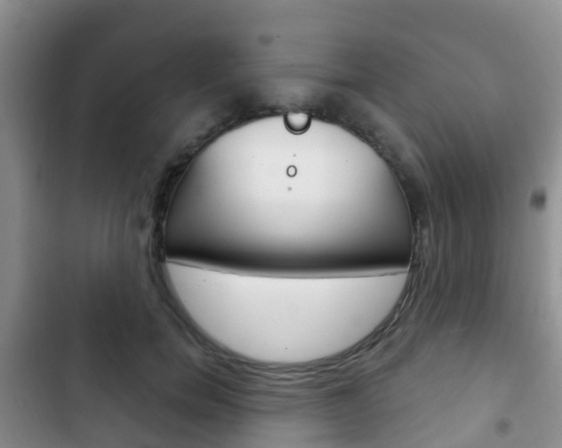 X0000102770750200808180955