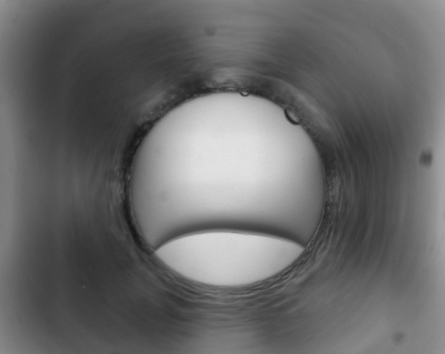 X0000102770751200808180955