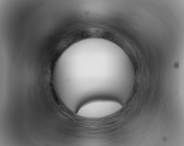 X0000102770752200808180955