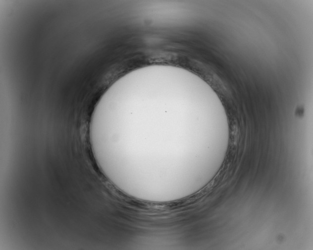 X0000102770753200808180955