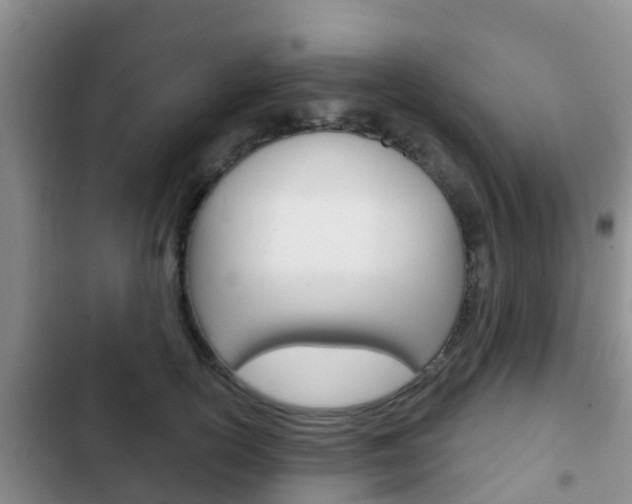 X0000102770754200808180955
