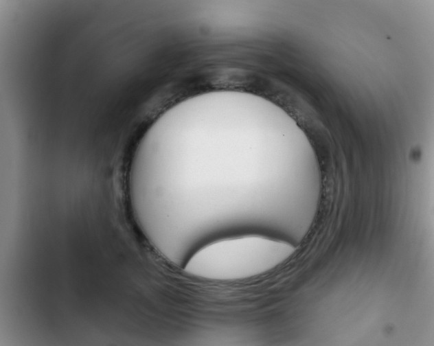 X0000102770755200808180955