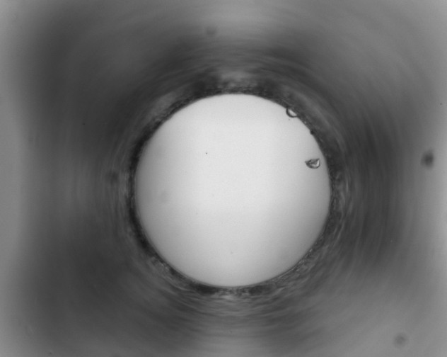 X0000102770756200808180955