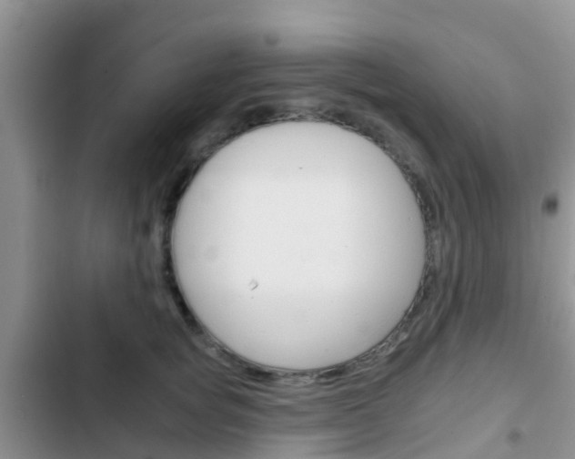 X0000102770757200808180955