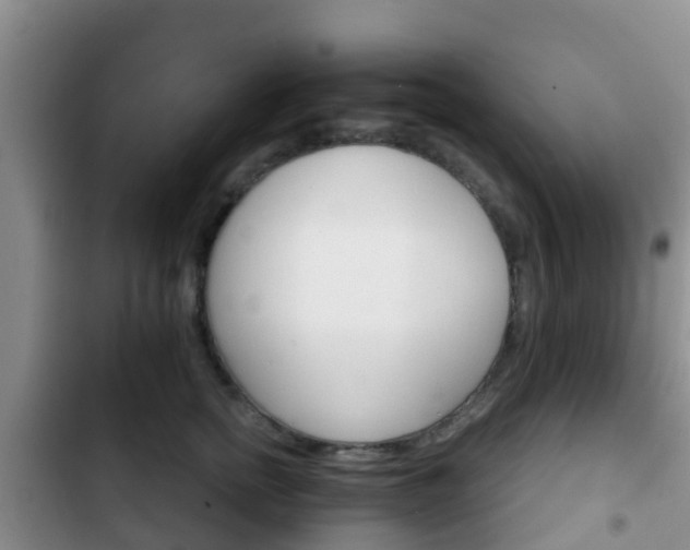 X0000102770758200808180955
