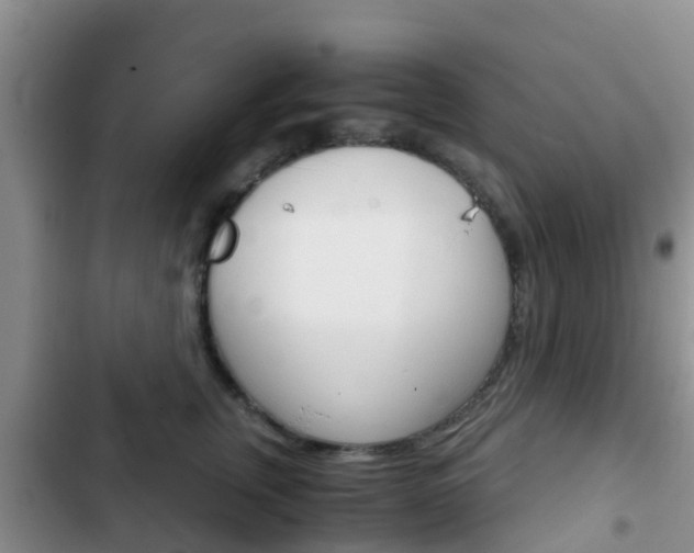 X0000102770759200808180955
