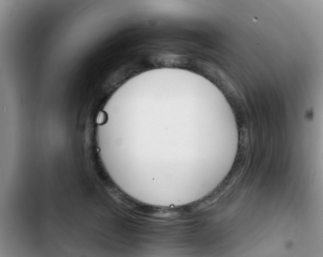X0000102770760200808180955