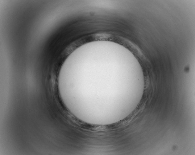 X0000102770761200808180955