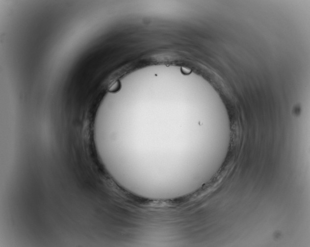 X0000102770762200808180955