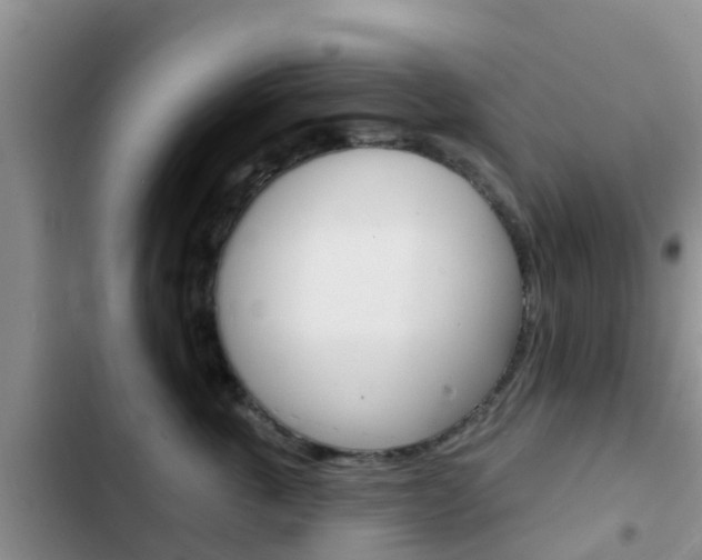 X0000102770763200808180955