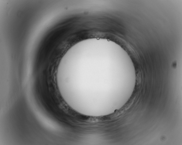 X0000102770764200808180955