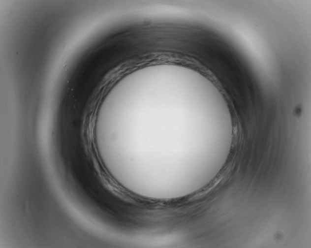 X0000102770765200808180955