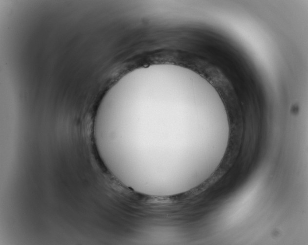 X0000102770767200808180955