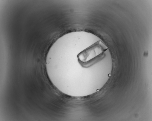 X0000102770768200808180955