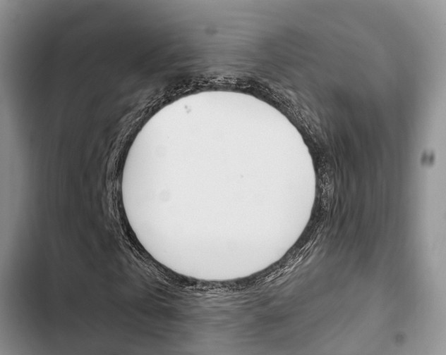X0000102770769200808180954