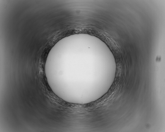 X0000102770770200808180954