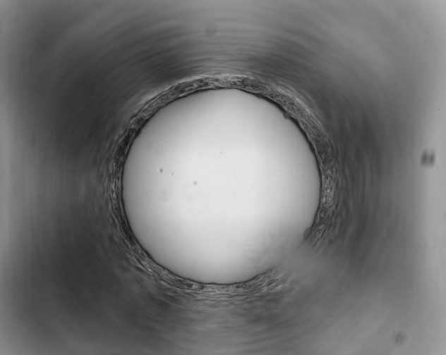 X0000102770773200808180954