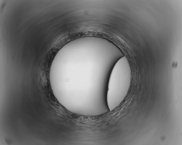 X0000102770774200808180954