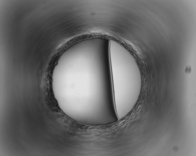 X0000102770776200808180954