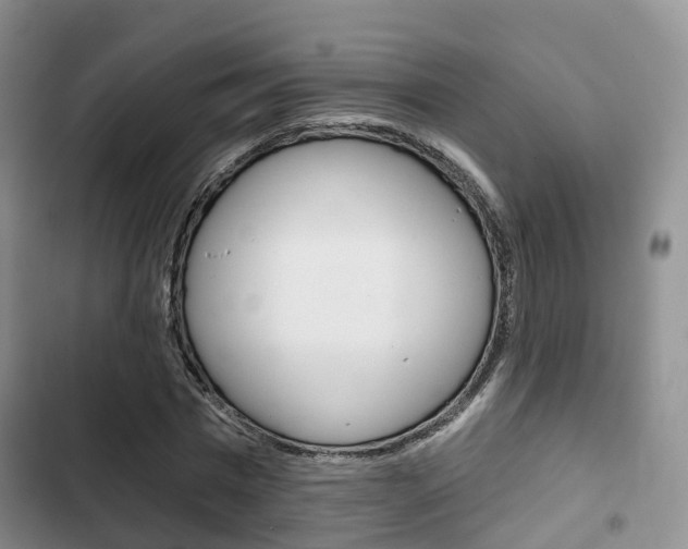 X0000102770777200808180954