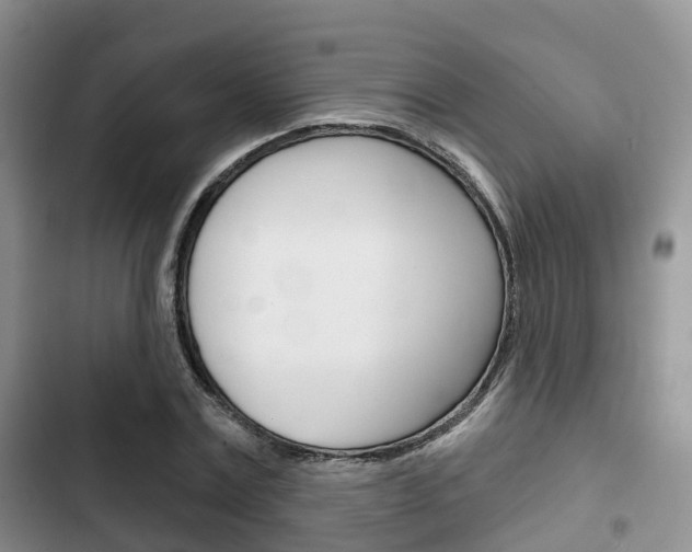 X0000102770779200808180954