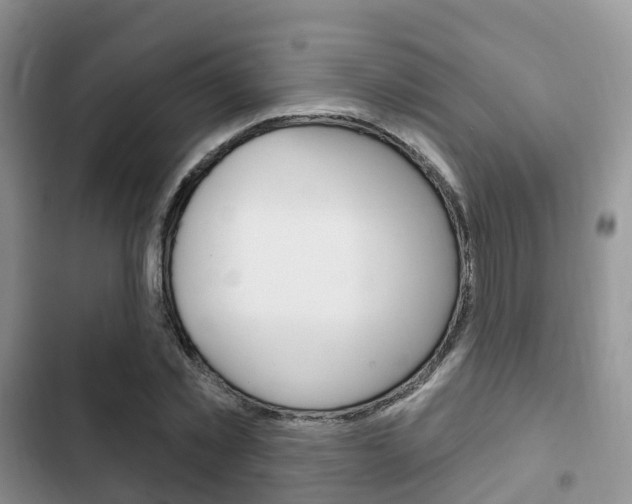 X0000102770781200808180954