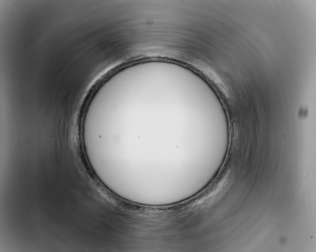 X0000102770782200808180954