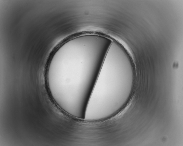 X0000102770783200808180954