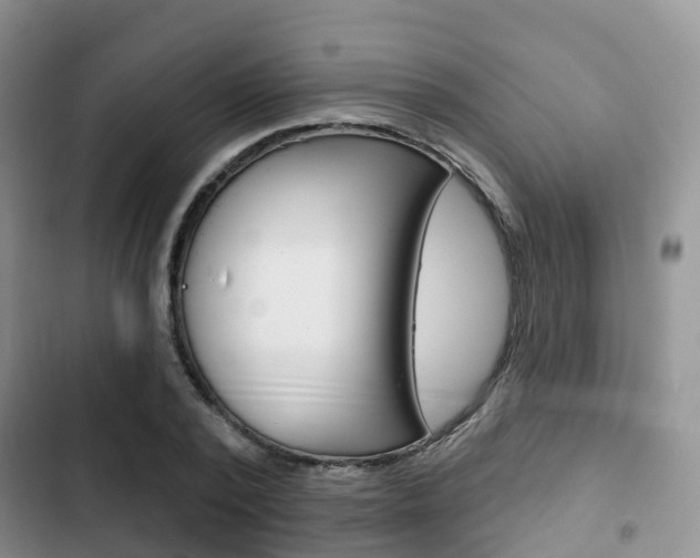 X0000102770784200808180954