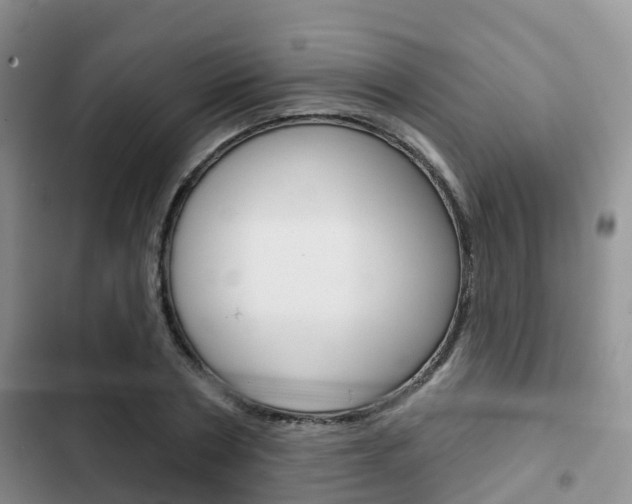 X0000102770786200808180954