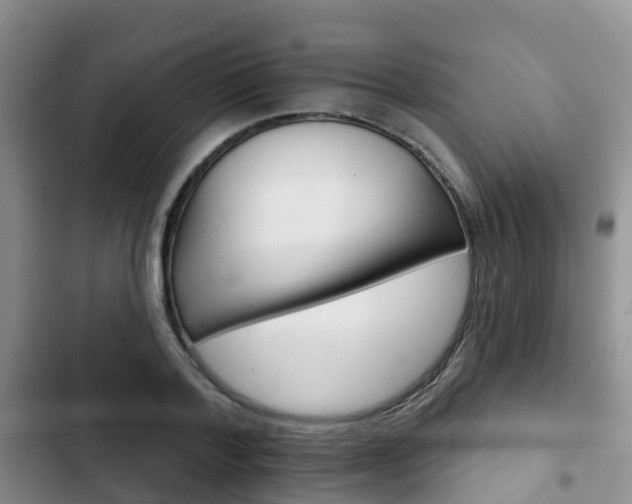 X0000102770788200808180954