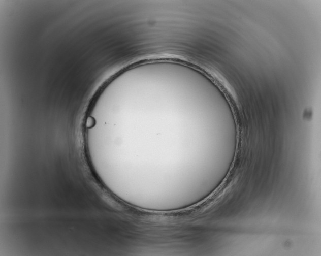 X0000102770789200808180954