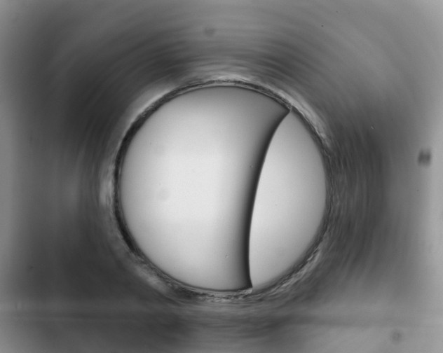 X0000102770790200808180954
