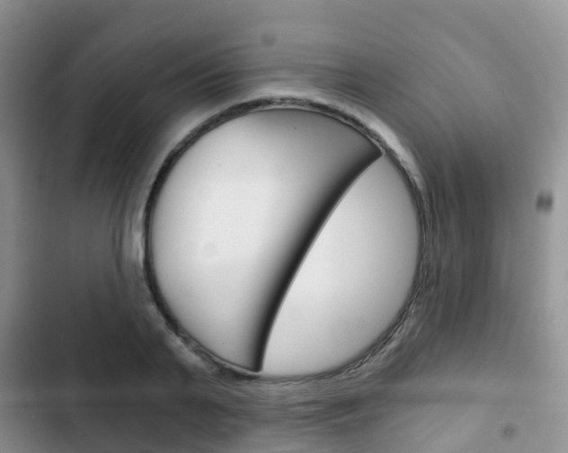 X0000102770791200808180954