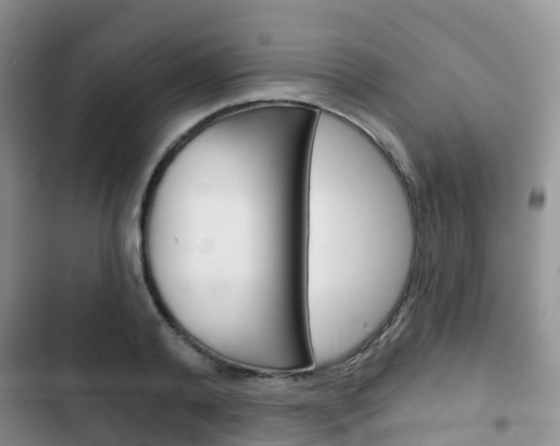 X0000102770792200808180954