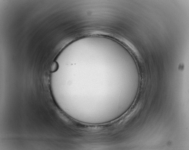 X0000102770793200808180954