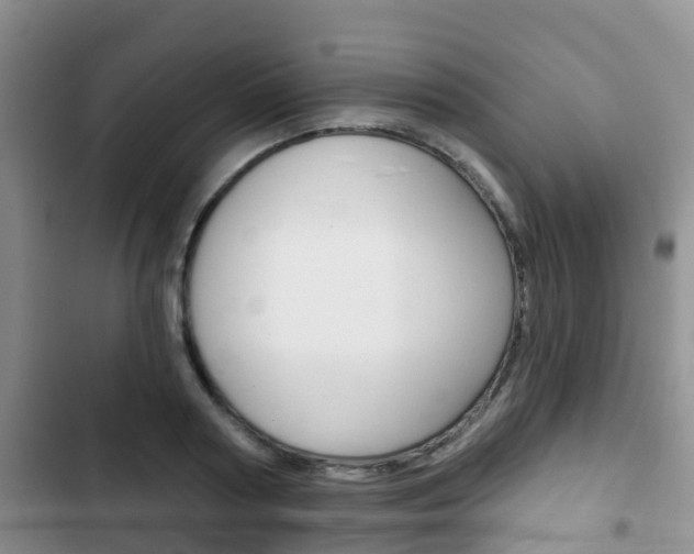 X0000102770794200808180954