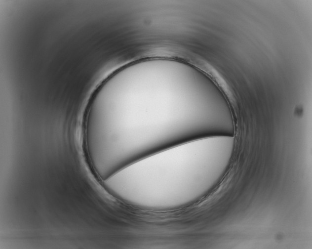 X0000102770795200808180954